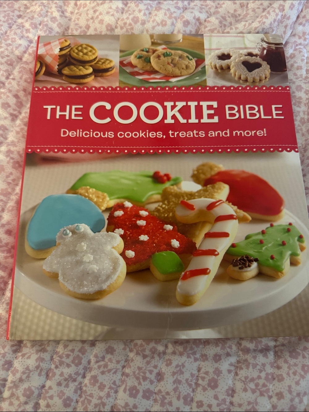 The Cookie Bible Cookbook - Red Cover